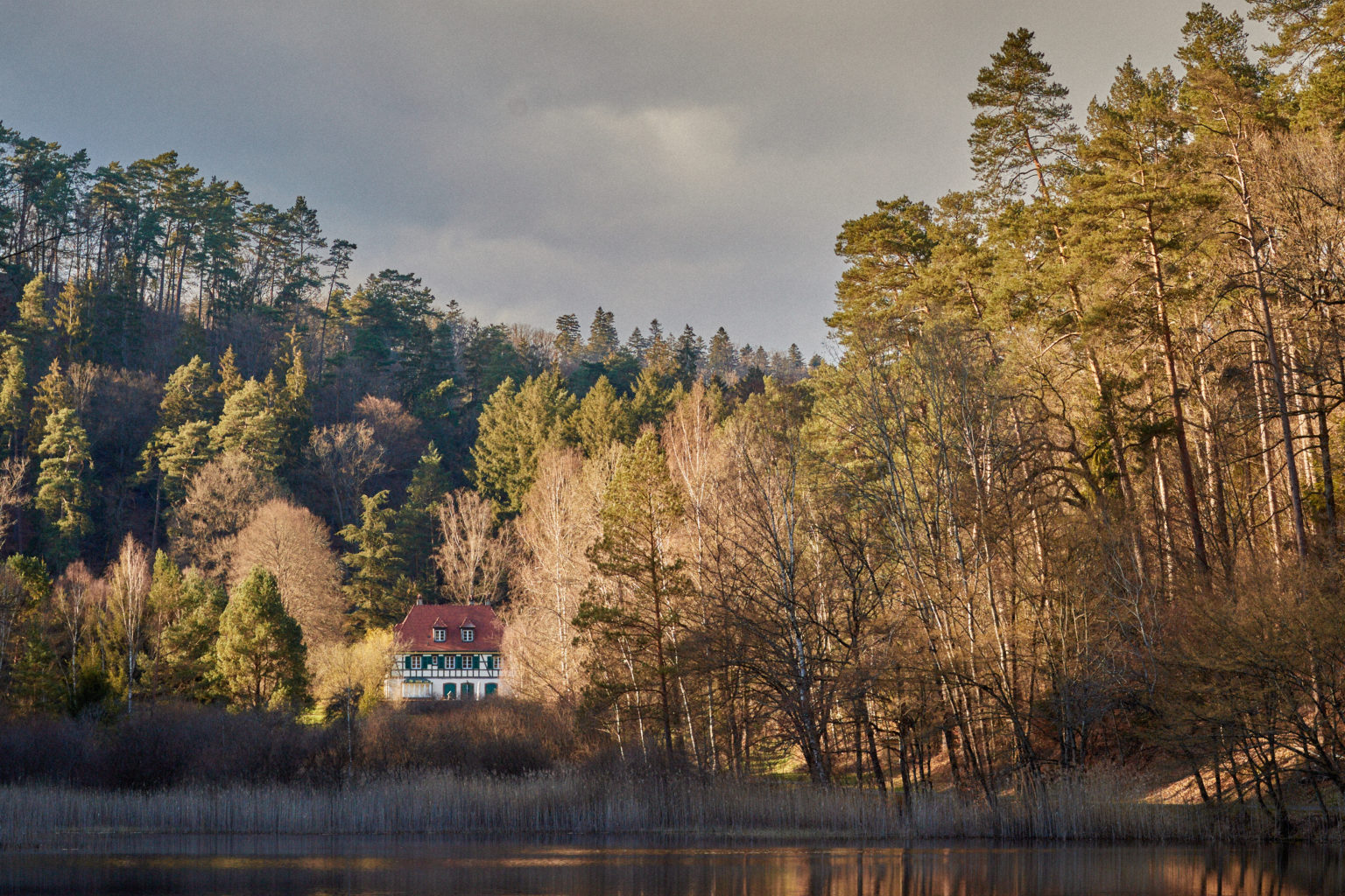 Photo de la forêt à vendre : Dambach