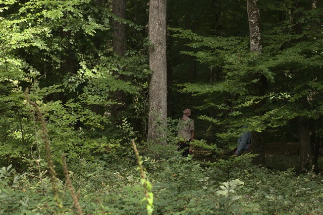 Photo de la forêt à vendre : Marchenoir