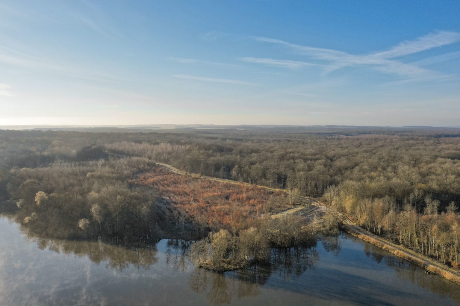 Photo de la forêt à vendre : Soulaine