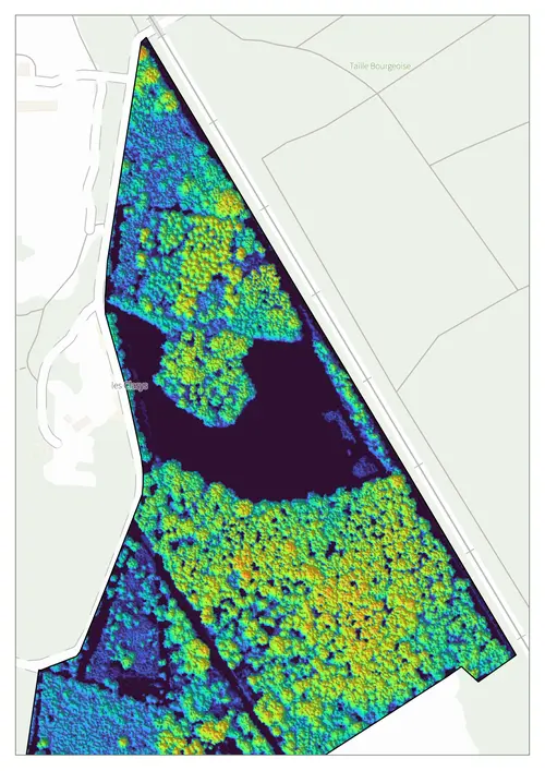 Données LIDAR zoomées.