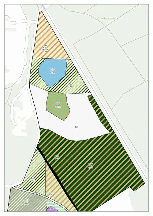Carte des peuplements zoomée.