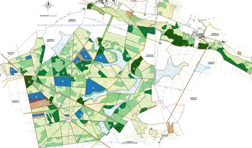 Carte des peuplement de la forêt de Boursaut.
