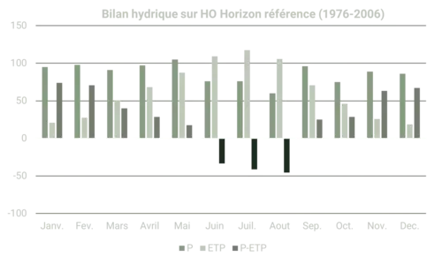 Analyse climatologique hydrique d'une de nos forêt en gestion de 1975 à 2006.