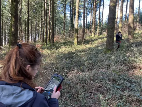 Photo d'un membre de Racines avec un tablette relevant des données forestières.