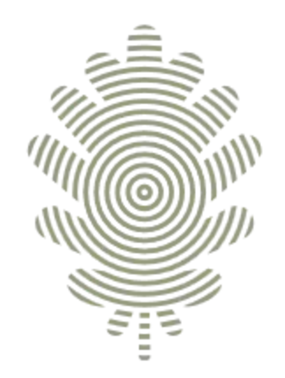 Logo Racines.