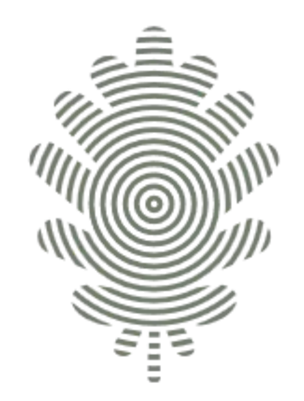 Logo Racines.