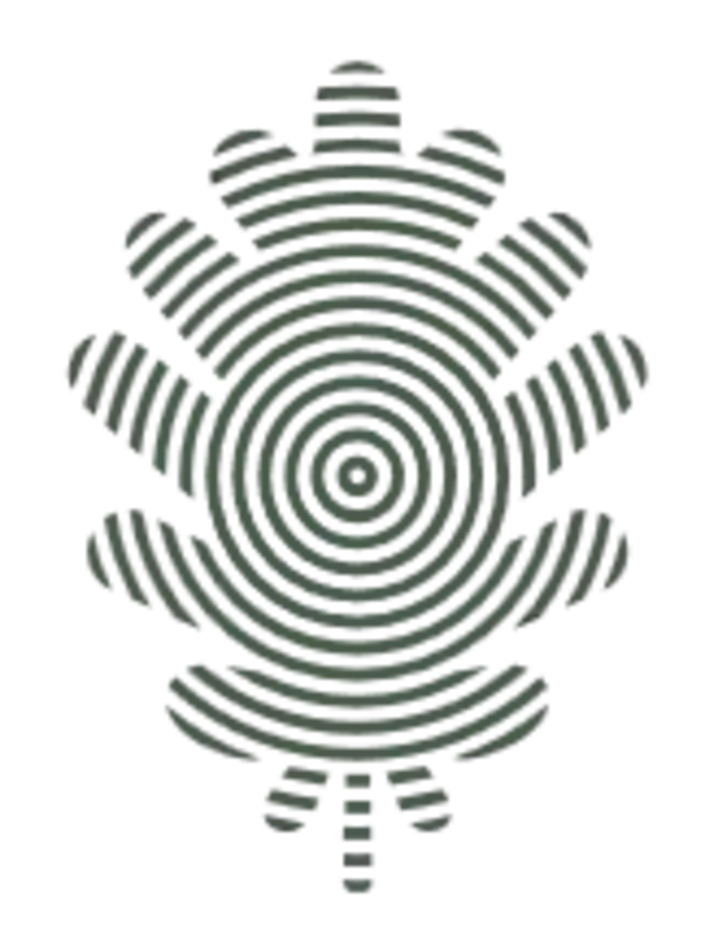 Logo Racines.